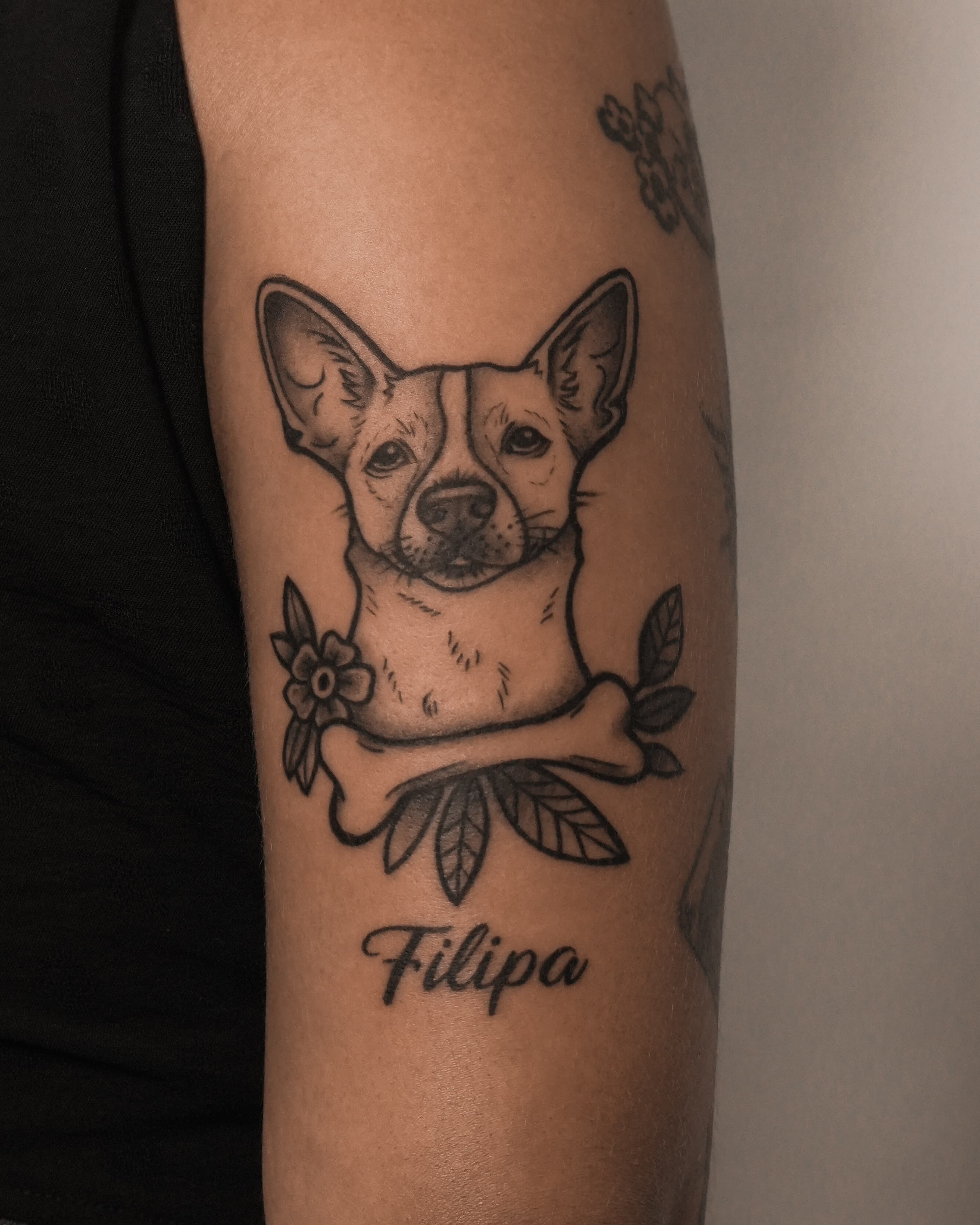 Tatuagem old school por Evy Nunes no estúdio SORA Ink Goiânia