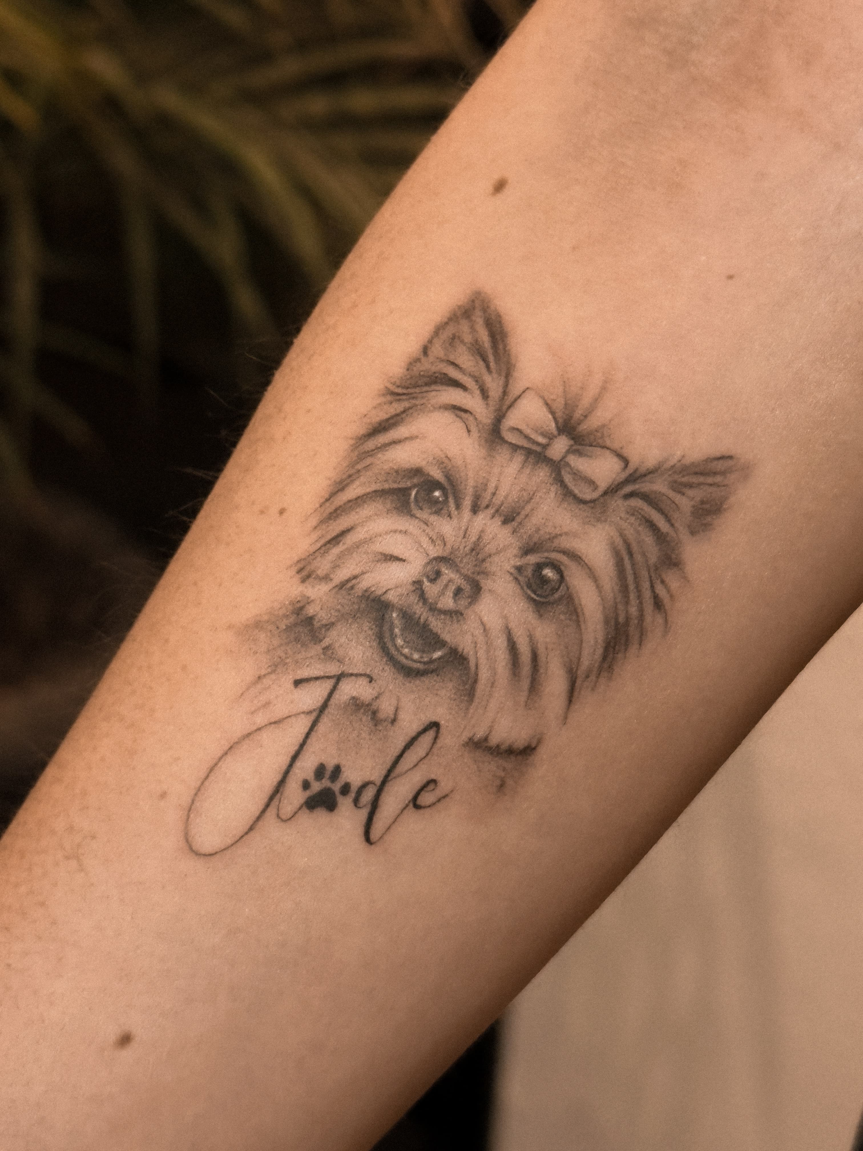 Tatuagem Realismo, Fineline por Luis Felipe em Goiânia
